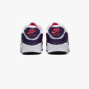 Nike Air Max 90 "EggPlant"